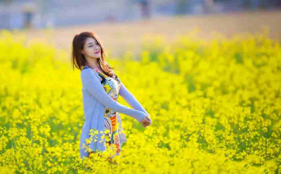 站群服务器官网